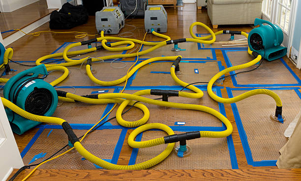 Professional Crawl Space Water Removal technician working in Sycamore, OH